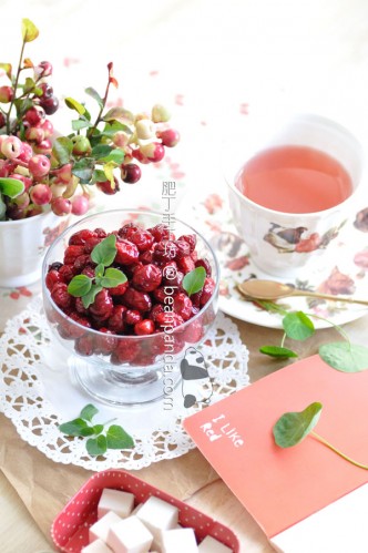 小紅莓乾【低糖保健零食】Candied Cranberries