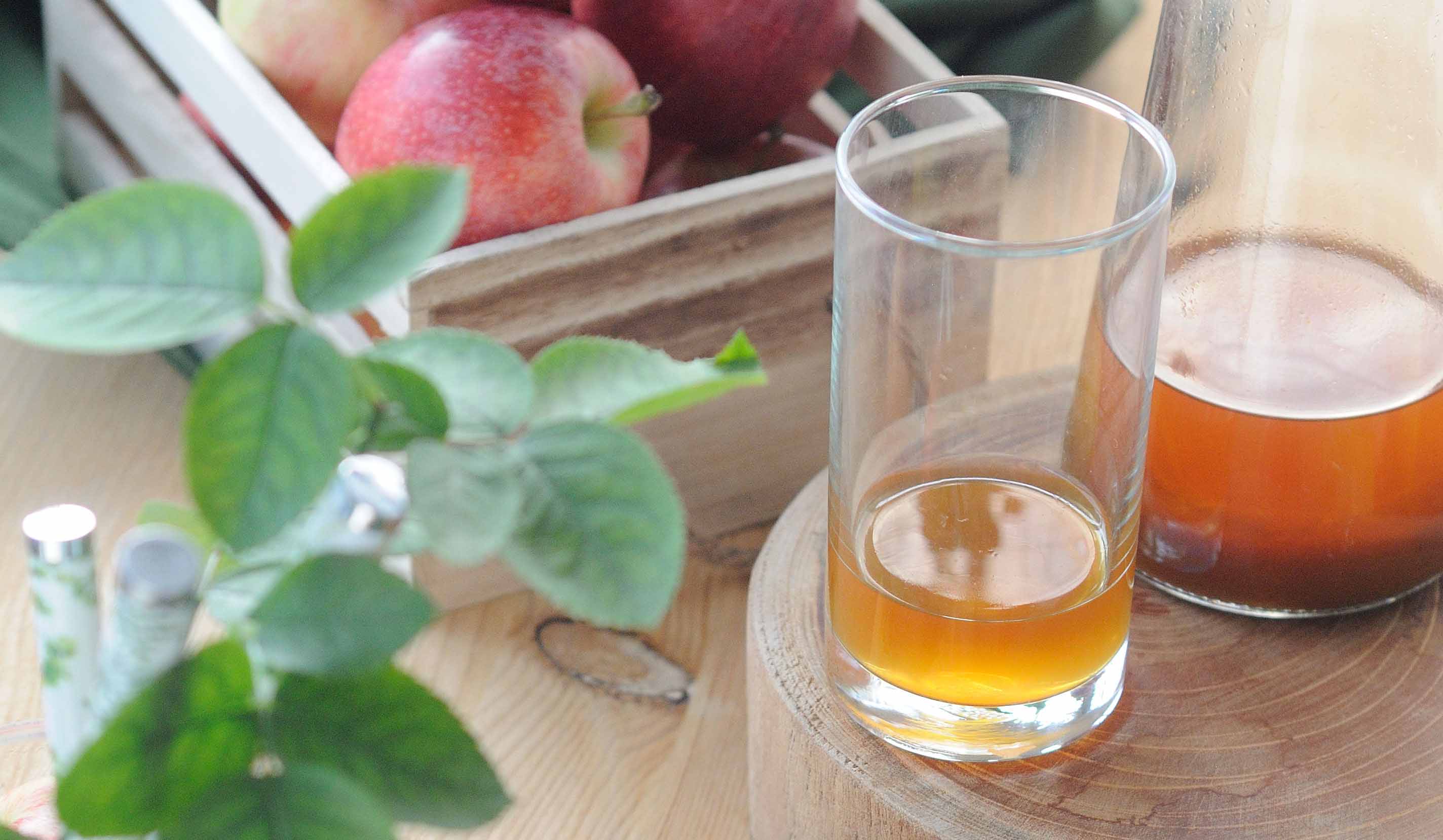天然發酵純釀蘋果醋 肥丁的釀醋之旅 Homemade Apple Cider Vinegar