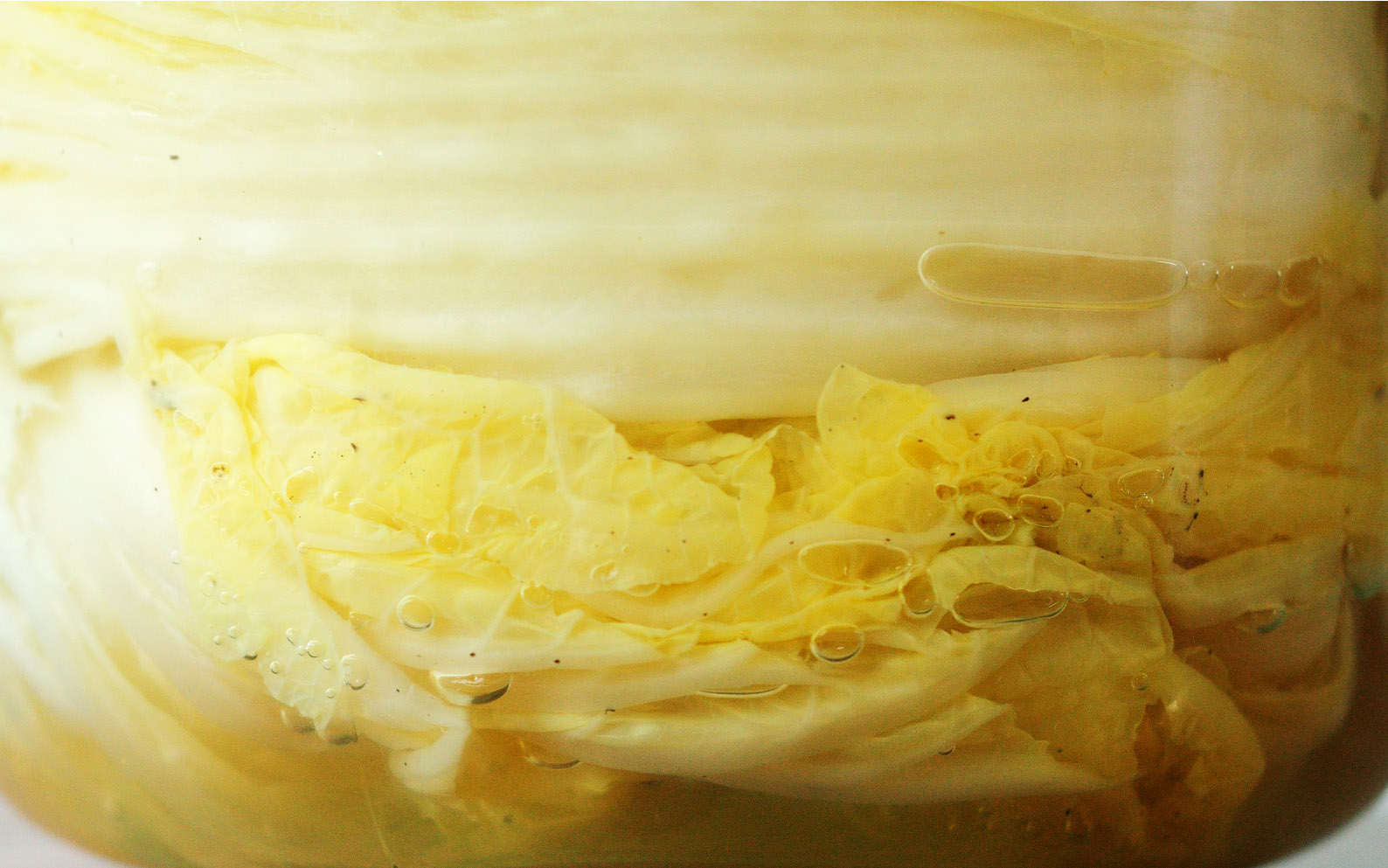 鹽都不用加的東北酸菜 三種材料 就是這麼簡單 Homemade Chinese Sauerkraut Suan Cai Recipe